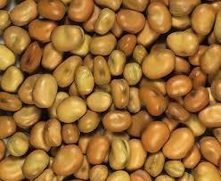 FAVINO BIANCO NAZ. - Mang.Sempl. KG. 25