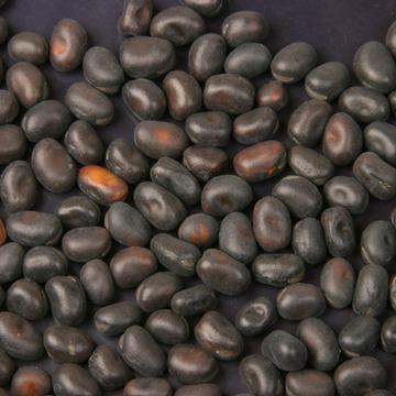 FAVINO NERO NAZ/LE - Mangime Semplice KG.25 SACCHI