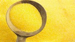 FARINA DI MAIS GIALLA BRAMATA   COMIRATO   KG. 25