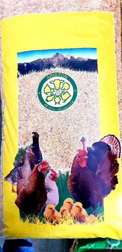 SPEZZATO DI MAIS MEDIO  ARISTON  KG. 25